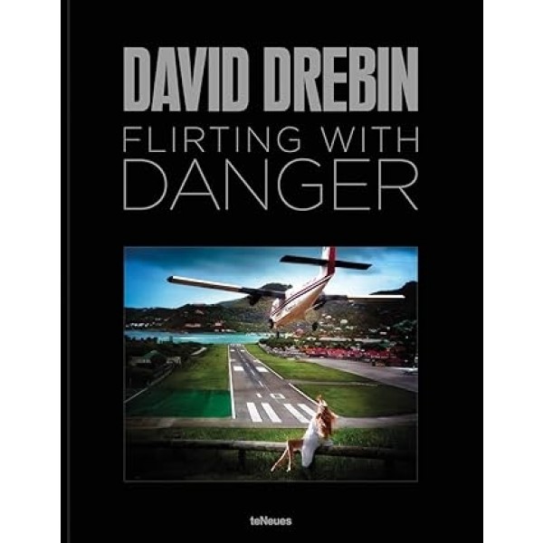 Flirting With Danger - David Drebin