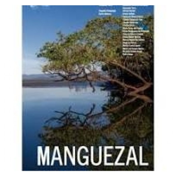 Manguezal 