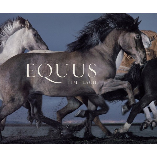 Equus (Mini)
