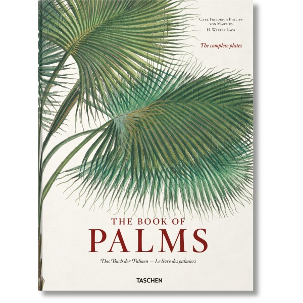 The Book of Palms. von Martius XL