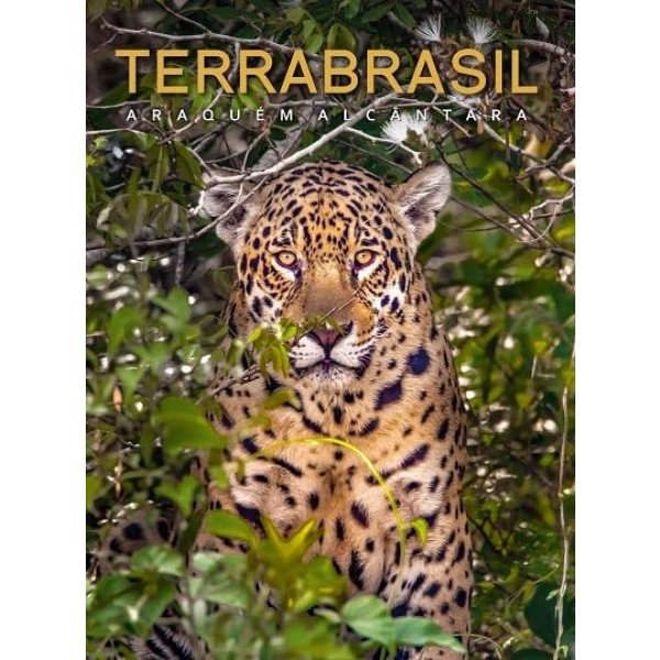 TerraBrasil (Volume 1)