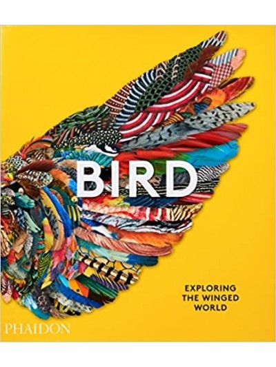 Bird Exploring the Winged World
