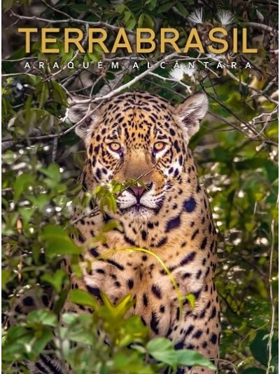 TerraBrasil (Volume 1)