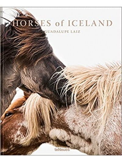 Horses Of Iceland 