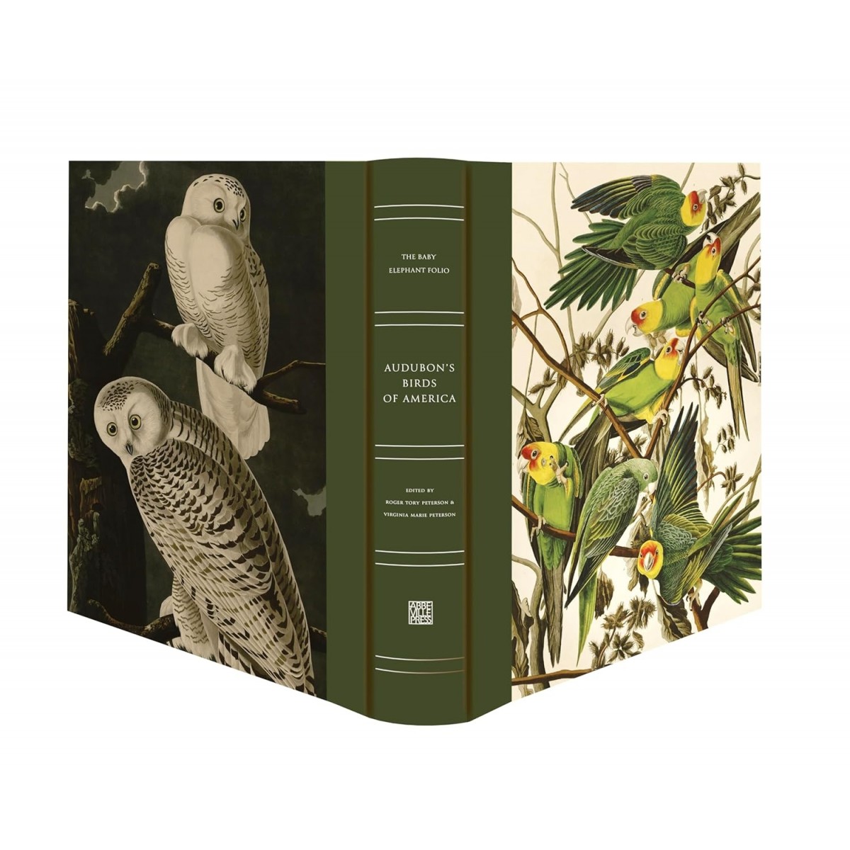 Audubon's Birds of America