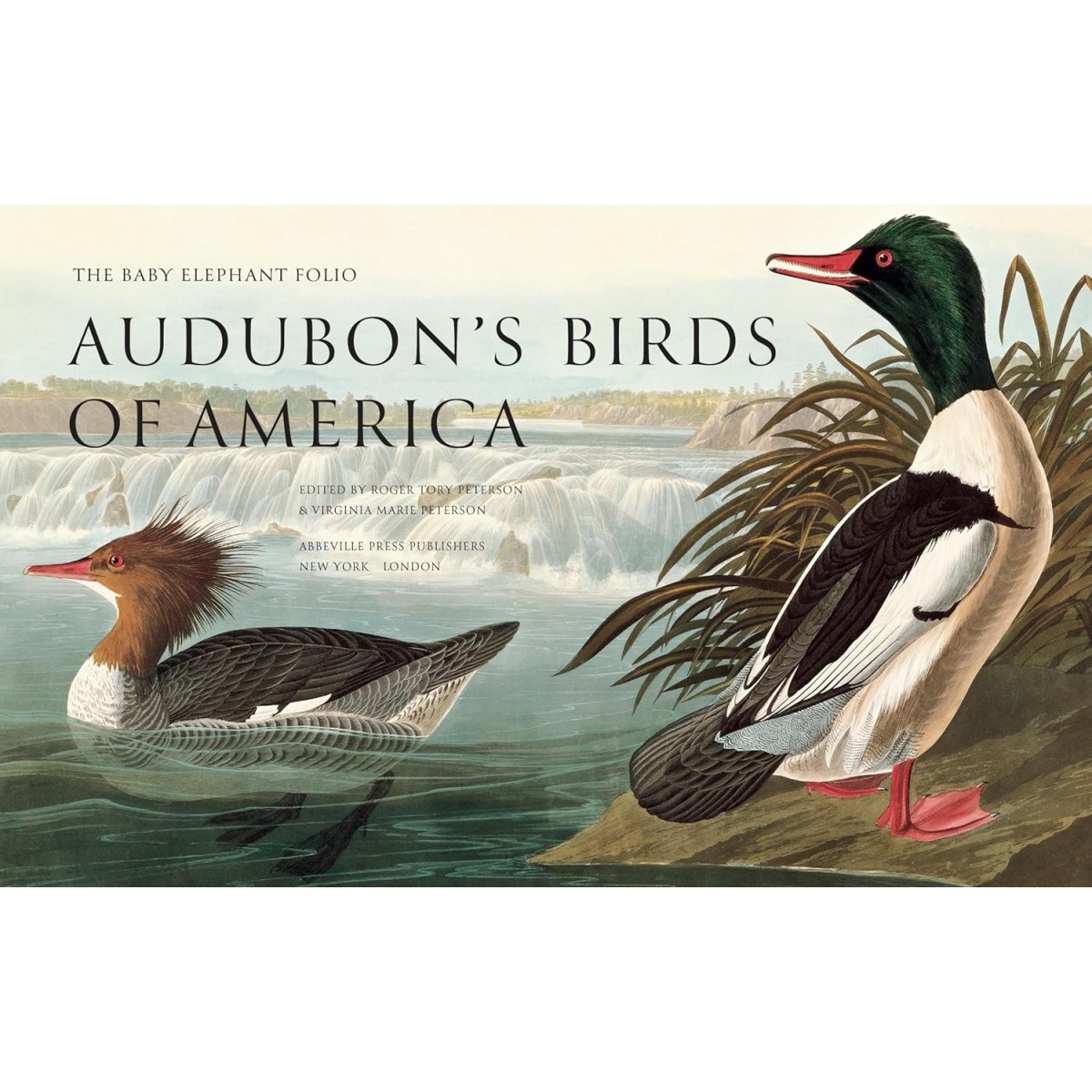 Audubon's Birds of America