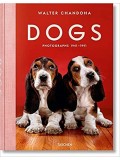 Dogs Photographs 1941-1991