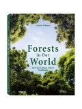 Forest in Our World