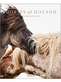 Horses Of Iceland 
