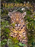 TerraBrasil (Volume 1)
